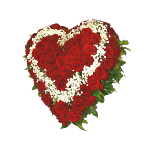 coeurs-rouges-19g