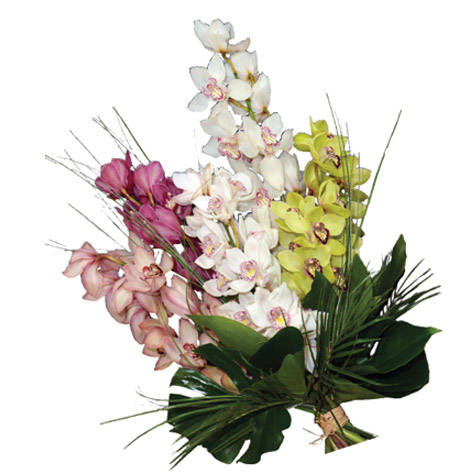 gerbe-de-cymbidiums