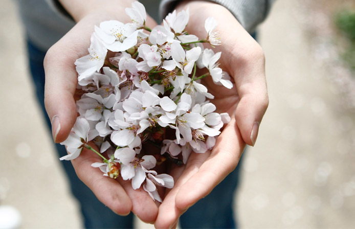 fleurs dans une main