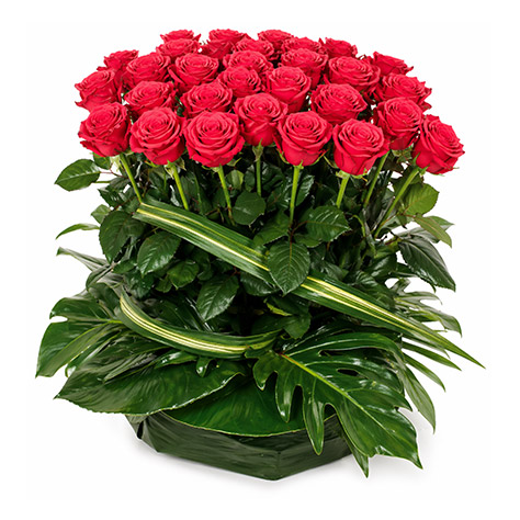 bouquet-roses-adieu-rouges