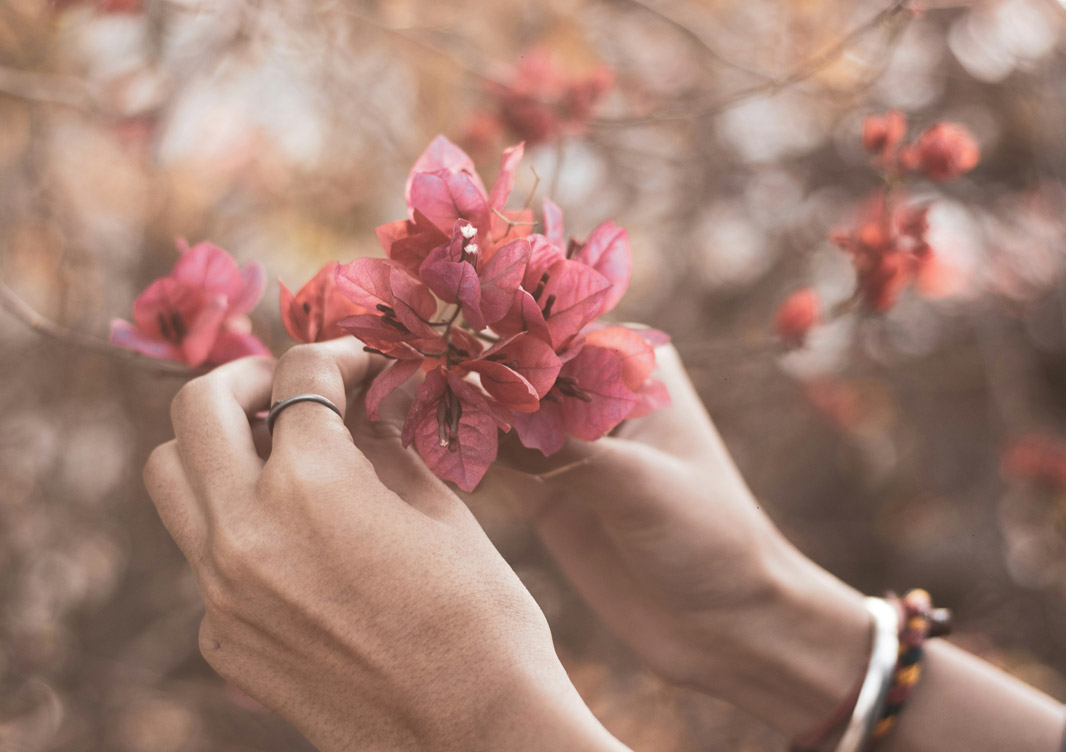 main fleurs