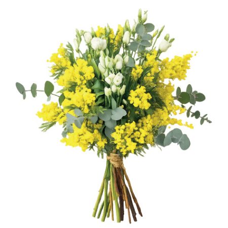 bouquet-mimosa