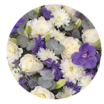 Violet blanc